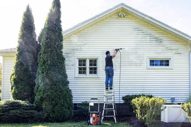 Best Concrete Pressure Washing  in Indian Head, MD