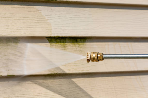 Best Residential Pressure Washing Services  in Indian Head, MD