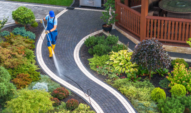 Best Pressure Washing Services for Businesses  in Indian Head, MD