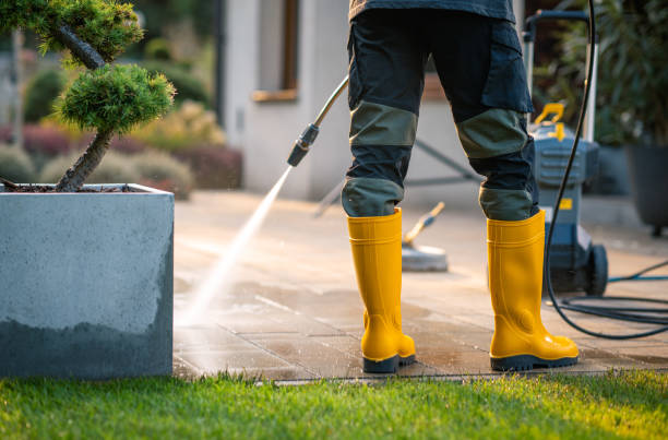 Best Local Pressure Washing Services  in Indian Head, MD
